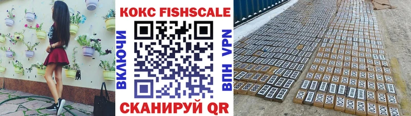 Купить где  Ангарск  КОКАИН Fish Scale 