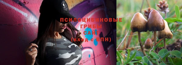 прущие крисы Магас
