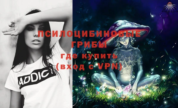 прущие крисы Магас