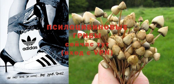амф Магадан