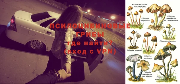 прущие крисы Магас