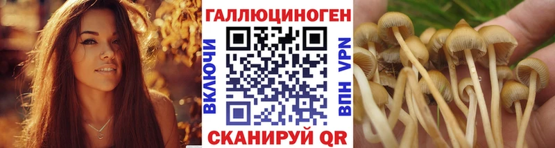 Псилоцибиновые грибы прущие грибы  Купить где  Ангарск 